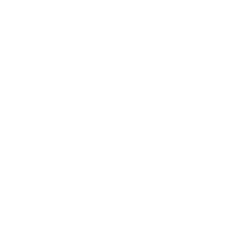 Home 6 icon expert white